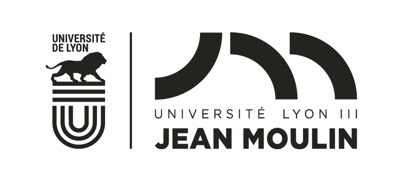 Questionnaire Chaire DCP 2 - Les liens entre règles de passation et difficultés d'exécution des contrats publics (concessions)